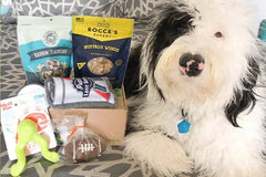 Pure Earth Pets Eco Friendly Dog Box