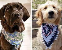 Northern By Sneed Monthly Dog Bandana Subscription