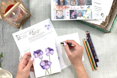 This is a past project. Old projects can be purchased as projpacks at classyartistbox.com
each month is new!