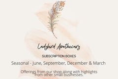 Solstice/Equinox Seasonal Box by Ladybird Apothecary