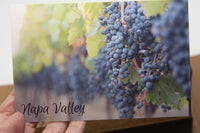 Picture of a Napa Valley Postcard, our signature post card.  Local Napa Valley products are always included in our monthly Cratejoy. 