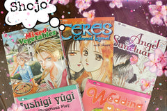 Manga Mystery Box - 5 or 10 Books - Shojo, Shonen, Mature or Mix! Free Shipping!