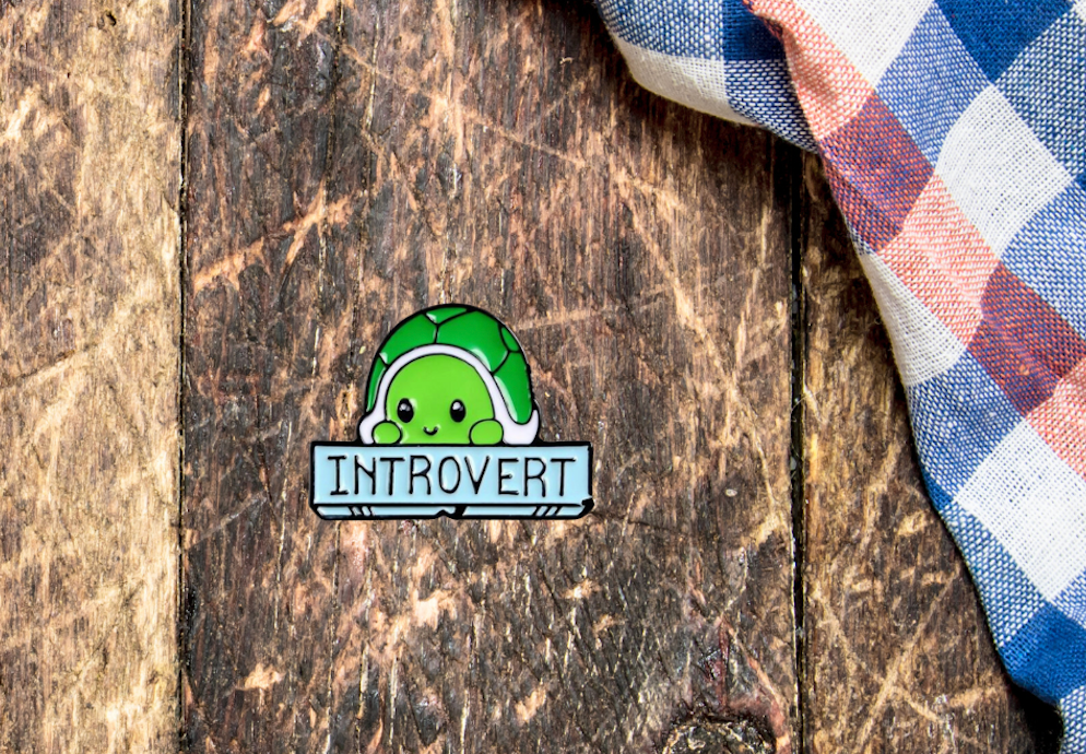 Image of Introvert Turtle Pin