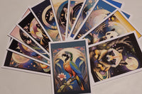 High quality printed images, vivid colors, 4x6" postcards with note section, address section, and stamp pre-printed