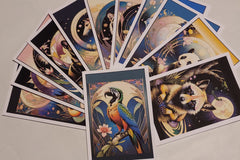 High quality printed images, vivid colors, 4x6" postcards with note section, address section, and stamp pre-printed