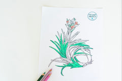 Adult Coloring Monthly