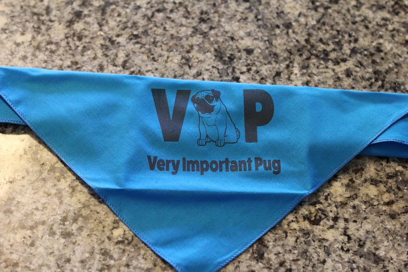 VIP - Very Important Pug Bandana - a Pug Box exclusive! - Cratejoy