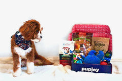 Monthly PupJoy Power Chewers Box, Treats & Toys, All Natural