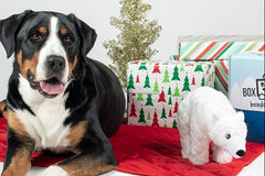 BoxDog - Monthly Dog Subscription Box with 100% Handmade Treats & 2 Dog Toys: Medium Dog 21-50lb