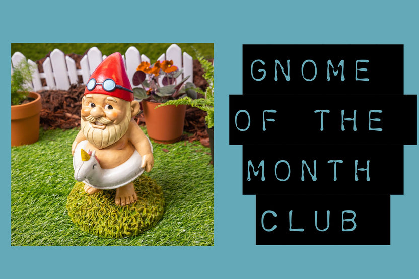 Gnome of the Month Club subscription box displayed on a front porch surrounded by neatly trimmed bushes