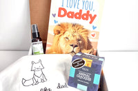 The Rad Dad Box - The Essentials