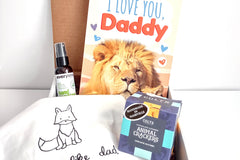 The Rad Dad Box - The Essentials