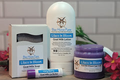 A past subscription box, "Lilacs In Bloom". Goat milk soap, lotion, and sugar scrub with a "Very Berry" Lip Butter