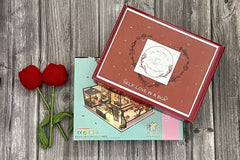 RBOMW DIY Miniature House Project Box. This box will include a book, a DIY miniature house kit, as well as 2-4 self care products.