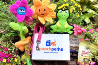 Pooch Perks Dog Box