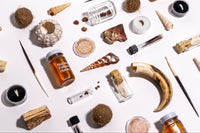 A variety of natural specimens and artifacts featured in the Matter subscription box for science enthusiasts
