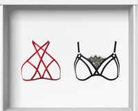 SILVER PLAN- 1 HARNESS BRA AND 1 CAGE BRA