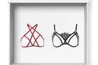 SILVER PLAN- 1 HARNESS BRA AND 1 CAGE BRA