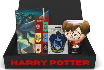 Harry Potter Themed Gifts Box