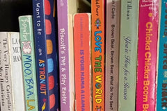 Momo’s Book Box- 2 books (For ages 4-8)