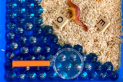 Monthly Learning Sensory Surprise Box