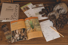edZOOcation™ Animal Education Subscription Box by Wildlife Tree