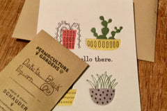 Seed Samplers