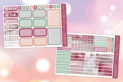 Deluxe Planner Sticker Kit and Mystery Sticker Sheet