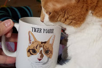 Perfect Pawtrait Cat Club