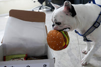 Frenchie Box