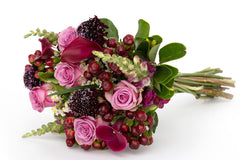 BloomsyBox