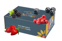 Kids Sonder Agriculture Unboxed