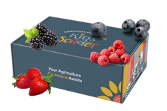Kids Sonder Agriculture Unboxed