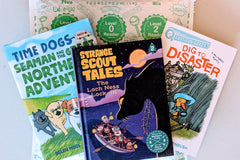 beginner chapter books for boys