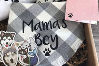 Dog moms and fur babies monthly box