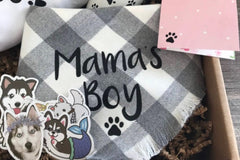 Dog moms and fur babies monthly box