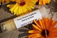1 Natural, homemade lip balm,  Cherry,  Surrounded by calendula flowers. Picture taken in my back yard.