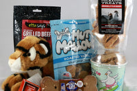 Treats Only Everyday Care Package Subscription