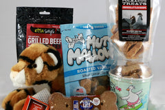 Treats Only Everyday Care Package Subscription