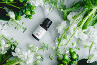 Collectors Club . 100% Pure Essential Oils . Set of 6 . Curated Each Month