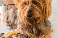 Recieve a variety of dog treats every month to your doorstep for you and your furbaby to enjoy. Explore what your pup loves! 