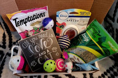 KatNip Box