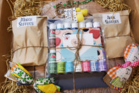 Items from a Easy Artist subscription box including brown paper bags labeled March Supplies and April supplies, and paints.