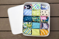 Northern By Sneed Monthly Dog Bandana Subscription