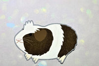 Chonky but Funky Bundle