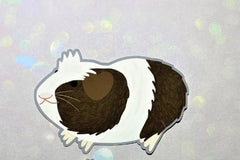 Chonky but Funky Bundle
