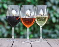 Vintage Wine Estates Perfect Pairings 6 Bottle Wine Collection *Shipping Included*