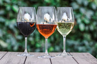 Vintage Wine Estates Perfect Pairings 6 Bottle Wine Collection *Shipping Included*