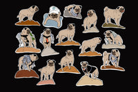 Vinny the Pug's Sticker group #3 contain many images inspired by actual photographs of Vinny climbing boulders in the Sonoran Desert.