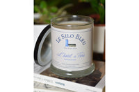 a large sandalwood scented candle on a stack of french books with a black lid resting on the side of the candle. Potted plants in background